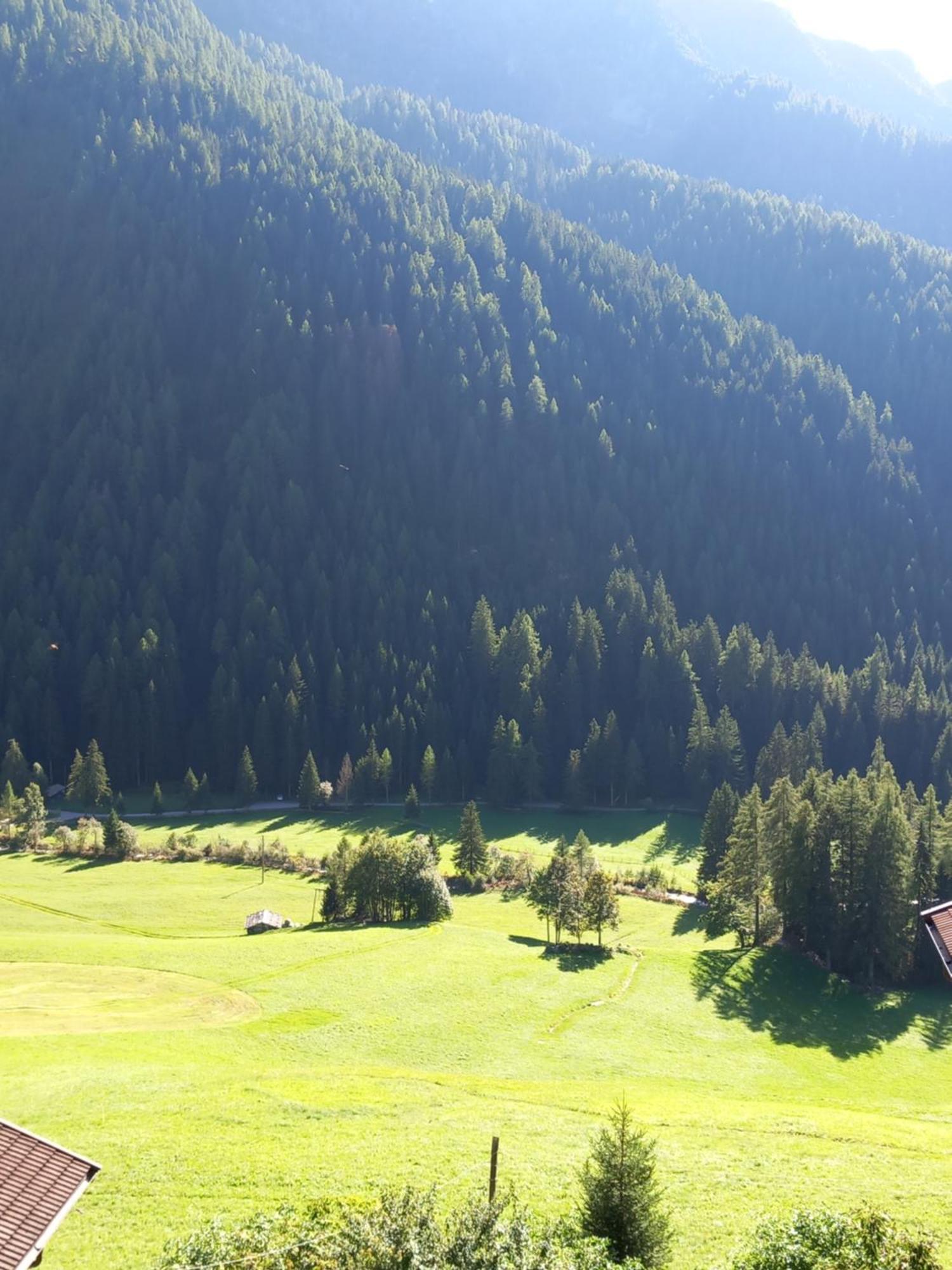 Gasthof Innerwalten San Leonardo in Passiria Ngoại thất bức ảnh