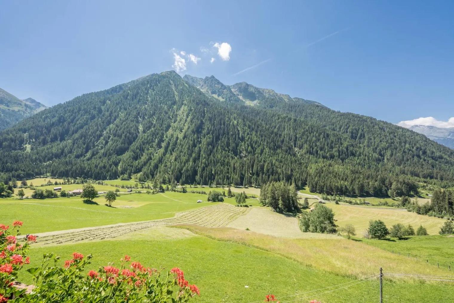 Gasthof Innerwalten San Leonardo in Passiria Ngoại thất bức ảnh